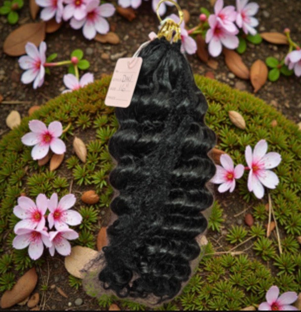 HHFC 14" BURMESE CURL - NATURAL
